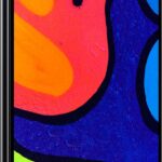 Samsung-Galaxy-F413-1.jpeg